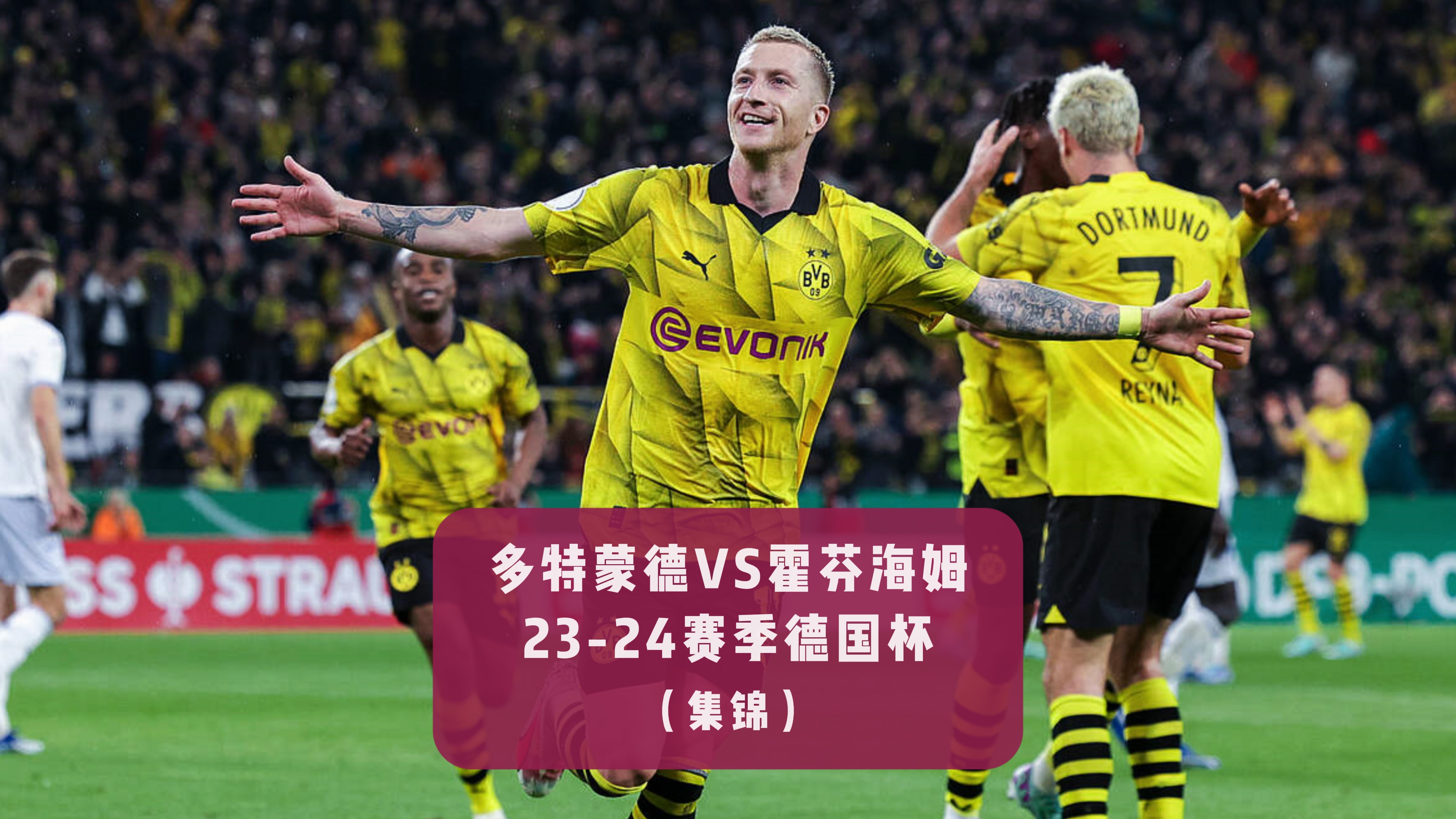 开云体育视频直播-霍芬海姆在主场击败对手，全面提升球队士气的简单介绍